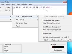 VAG EEPROM Programmer V1.19g Download (1)