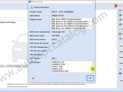ODIS 25.0.3+ODIS-E 19 (8)
