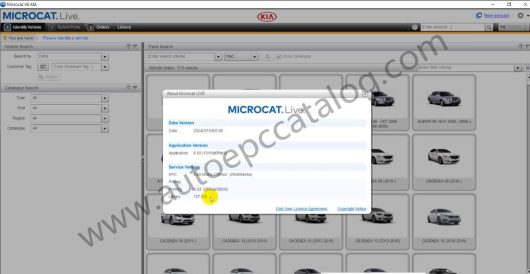 KIA Microcat V6 2024.03 (4)