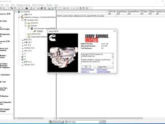 Cummings Insite 8.9