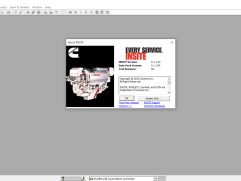 Cummings insite 9.1.1