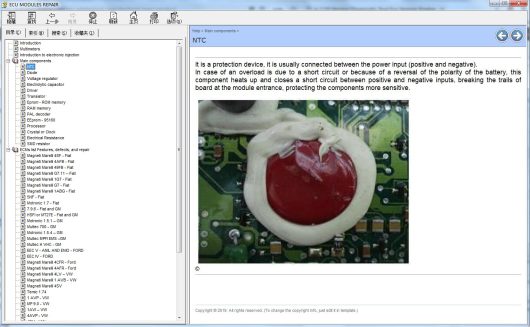 ECU Modules Repair Helper Components & PINOUT (1)