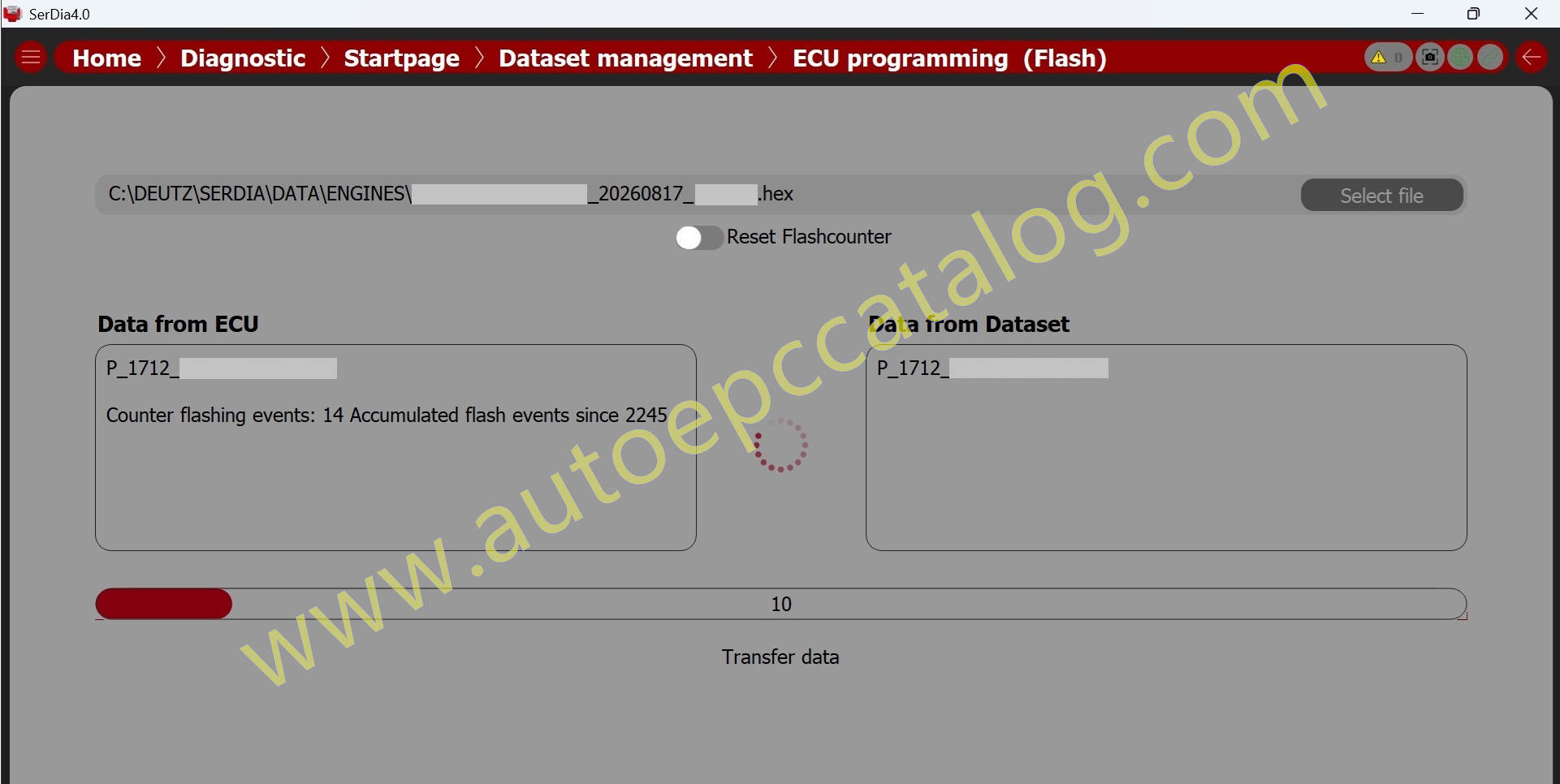 Serdia4.0 v.20.0_Flashing Data
