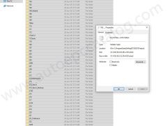 Project Database 2025-2015 for DTS Monaco (1)